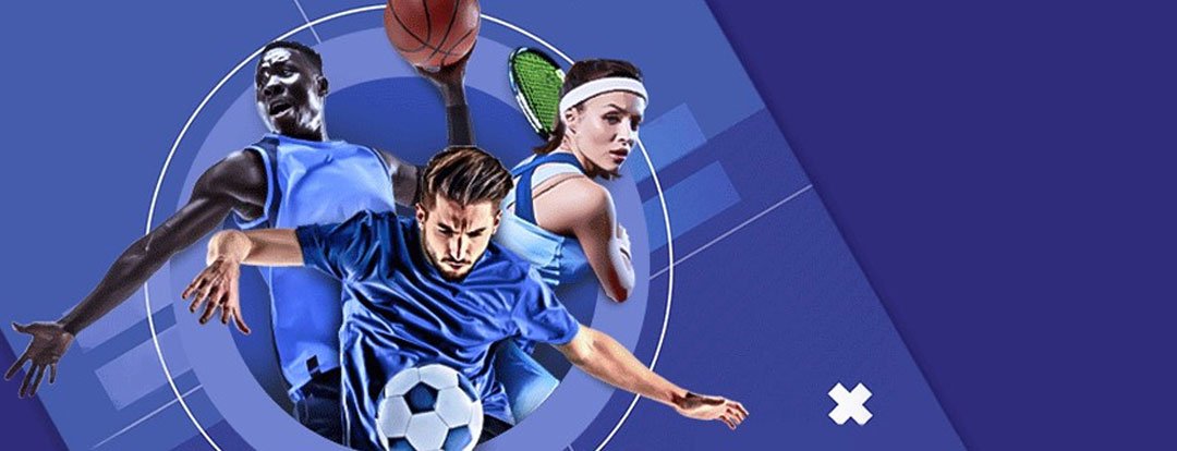 PlayinMatch official gaming and betting platform interface