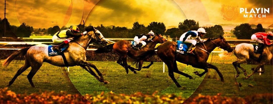 Play in Exchange 247 nonstop betting service